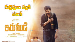 irumudi-mallepula-pallaki-song